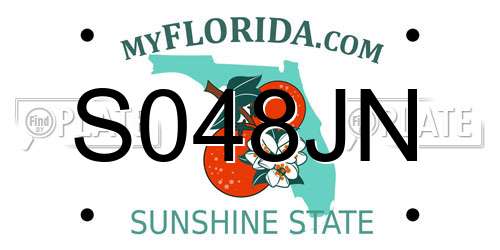 S048JN Florida License Plate