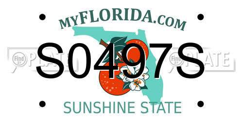 S0497S Florida License Plate