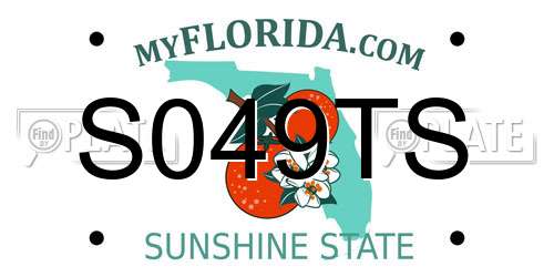S049TS Florida License Plate