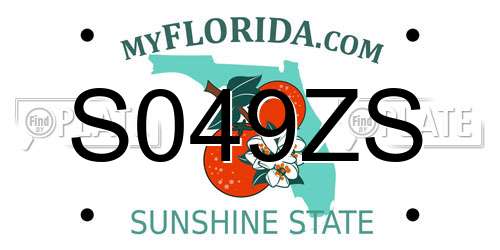 S049ZS Florida License Plate