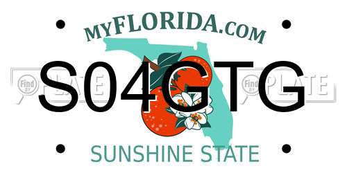 S04GTG Florida License Plate