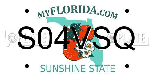 S04VSQ Florida License Plate