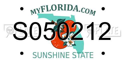 S050212 Florida License Plate