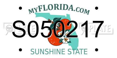 S050217 Florida License Plate