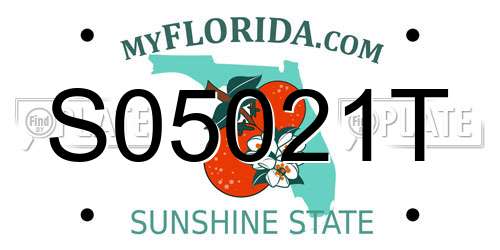 S05021T Florida License Plate