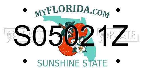 S05021Z Florida License Plate