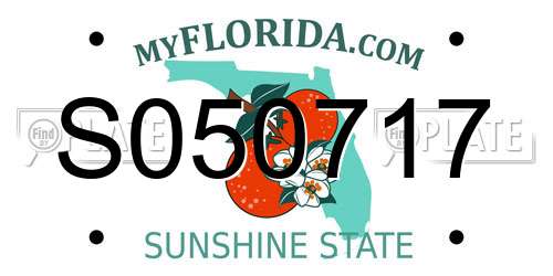 S050717 Florida License Plate
