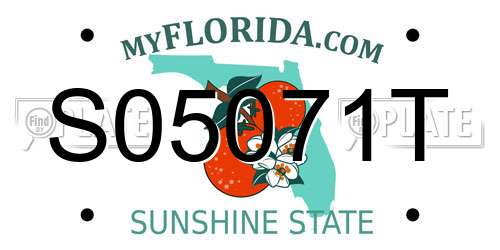 S05071T Florida License Plate