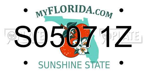 S05071Z Florida License Plate
