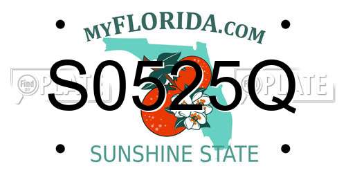 S0525Q Florida License Plate
