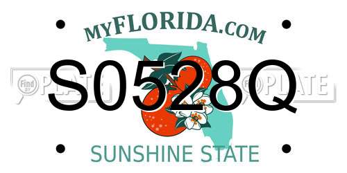 S0528Q Florida License Plate