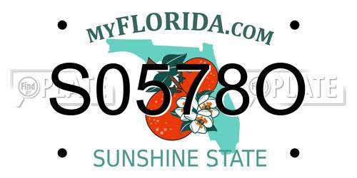 S0578O Florida License Plate