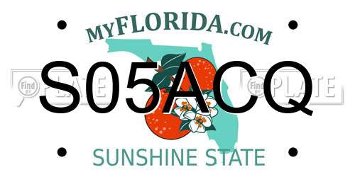S05ACQ Florida License Plate