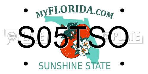 S05TSO Florida License Plate