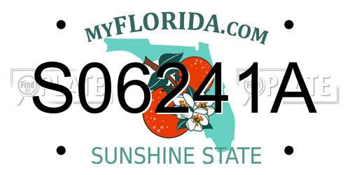 S06241A Florida License Plate
