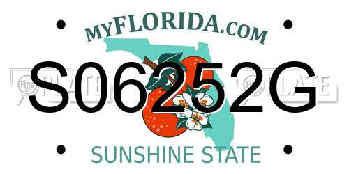 S06252G Florida License Plate