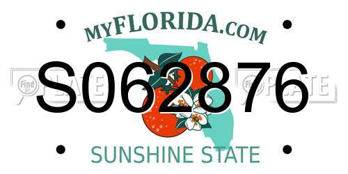 S062876 Florida License Plate