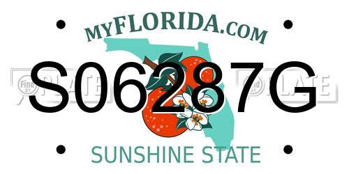 S06287G Florida License Plate