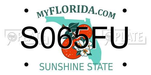 S065FU Florida License Plate