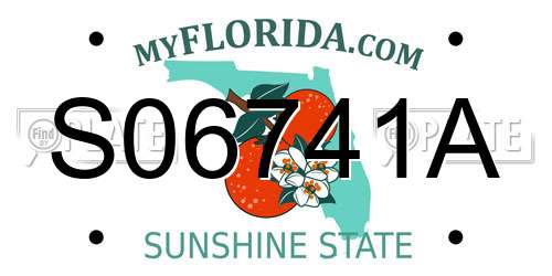 S06741A Florida License Plate