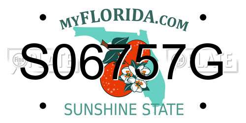 S06757G Florida License Plate