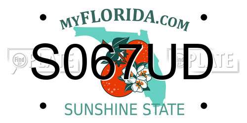S067UD Florida License Plate