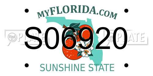 S06920 Florida License Plate