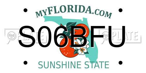 S06BFU Florida License Plate