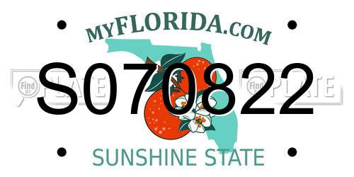 S070822 Florida License Plate