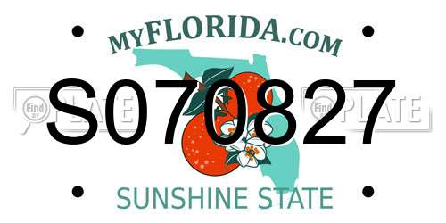 S070827 Florida License Plate
