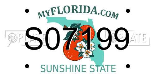 S07199 Florida License Plate