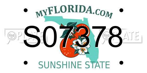 S07378 Florida License Plate