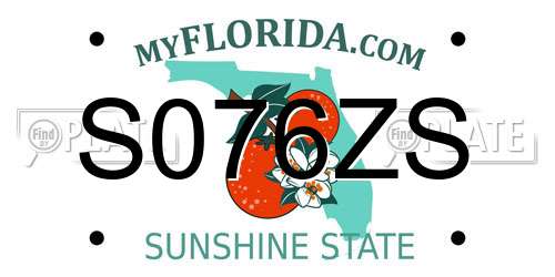S076ZS Florida License Plate