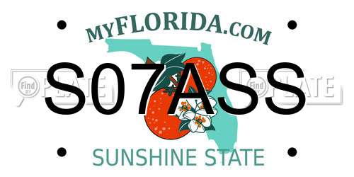 S07ASS Florida License Plate