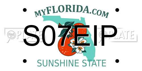 S07EIP Florida License Plate