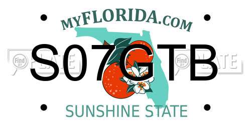 S07GTB Florida License Plate
