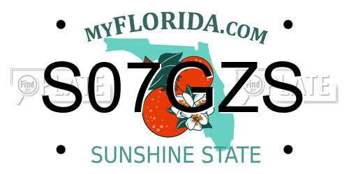 S07GZS Florida License Plate