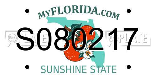 S080217 Florida License Plate