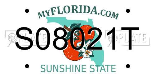 S08021T Florida License Plate