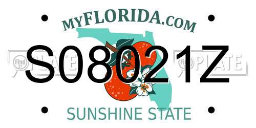 S08021Z Florida License Plate