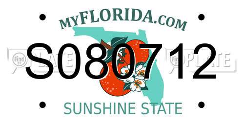 S080712 Florida License Plate