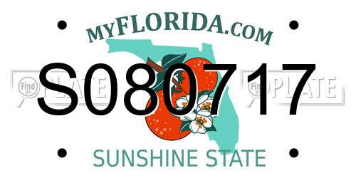 S080717 Florida License Plate