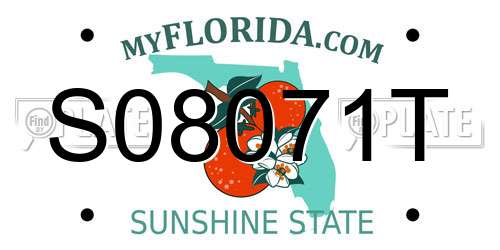 S08071T Florida License Plate