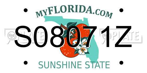 S08071Z Florida License Plate