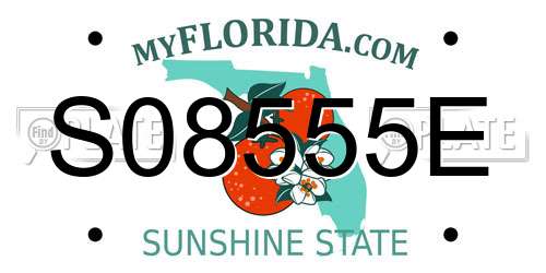 S08555E Florida License Plate