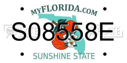 S08558E Florida License Plate