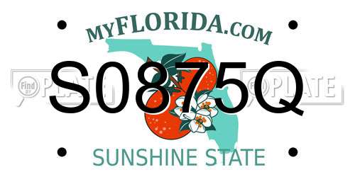 S0875Q Florida License Plate