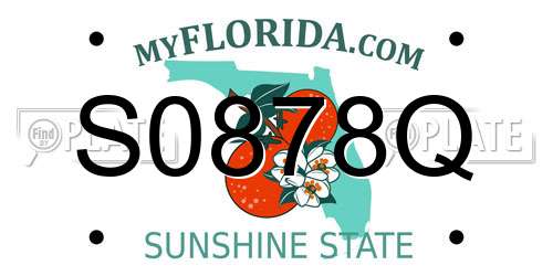 S0878Q Florida License Plate