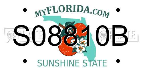 S08810B Florida License Plate