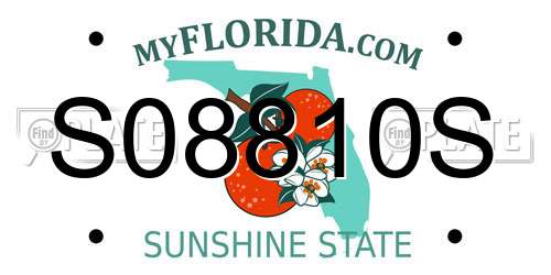 S08810S Florida License Plate
